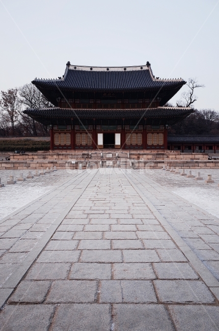 창덕궁,창경궁,임금,조선,가을,한국전통,한국문화,korean traditional,korean culture,랜드마크,landmark,tourist attraction,한국랜드마크,한국관광지,한국명소,korea landmark,korea tourist attraction