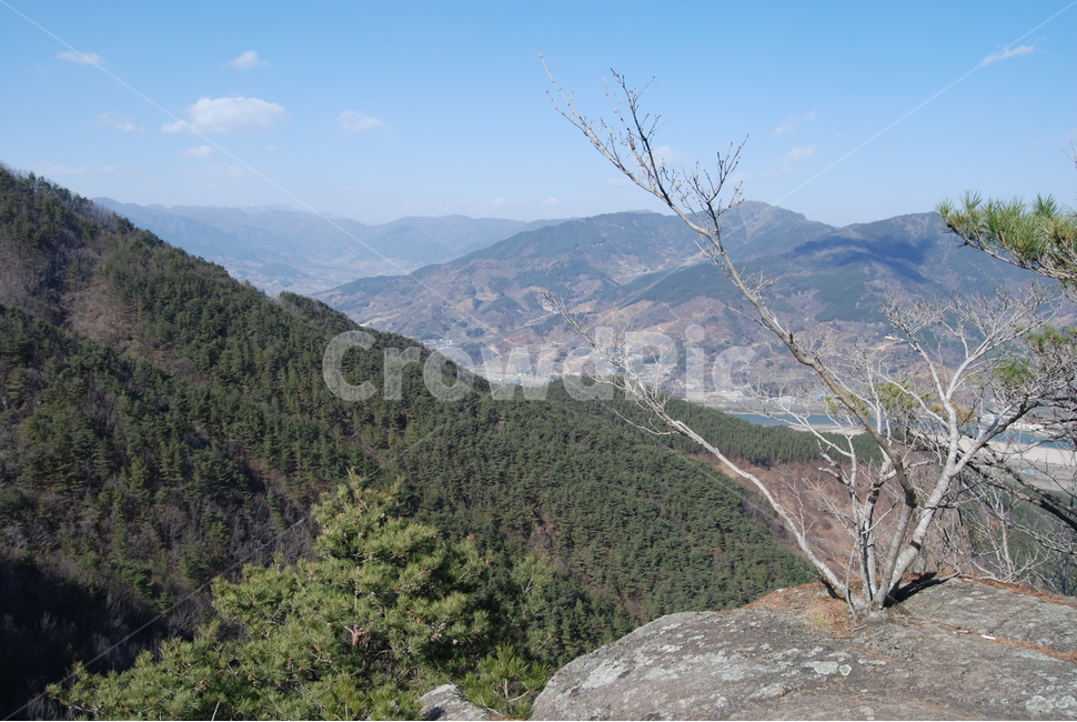 백운산,광양,봄,휴양림,자연,자연,풍경,nature,landscape,한국자연풍경,한국자연경관,korea nature landscape,outdoors,옥외,slope,경사