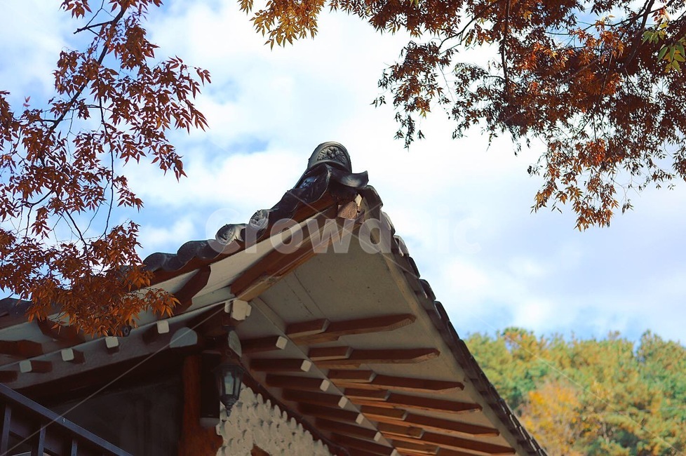 한옥,지붕,풍경,건물,자연,가을,계절,fall,autumn,season,한국전통,한국문화,korean traditional,korean culture