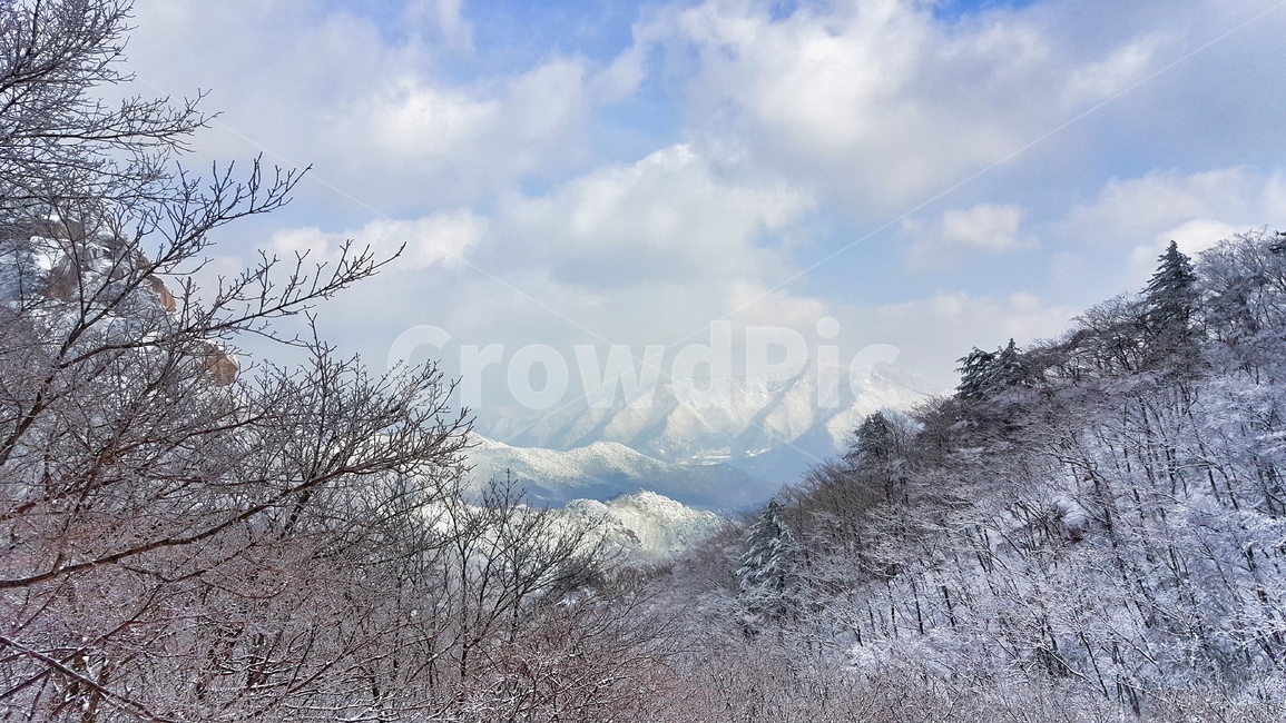 산,겨울,속리산,눈곷,설산,계절,자연,풍경,한국자연풍경,한국자연경관,winter,season,nature,landscape,나무,하늘,구름,설경,겨울산