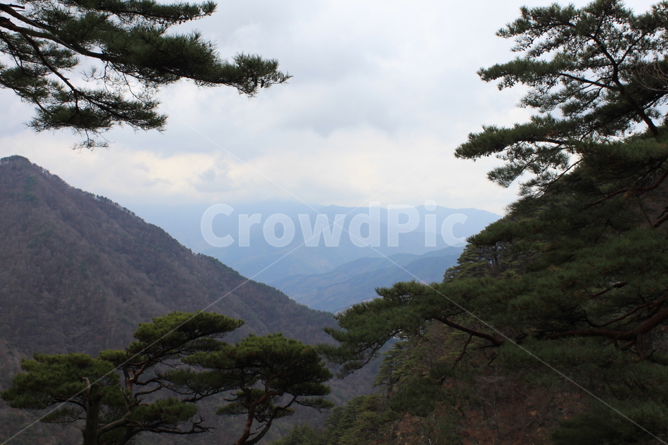 지리산,쌍계사,불일암,법정스님,쌍계계곡,자연,풍경,nature,landscape,한국자연풍경,한국자연경관,korea nature landscape,plant,식물,tree,나무,outdoors,옥외