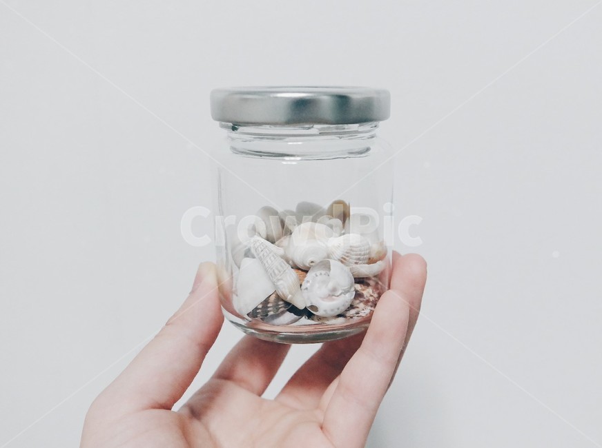유리병,조개껍데기,수집,자연,clam,shellfish,shell,clamshell,collect,nature,사람,인물,인간,human,person,신체일부,몸,body,사물,물건,오브젝트,thing,object,matter