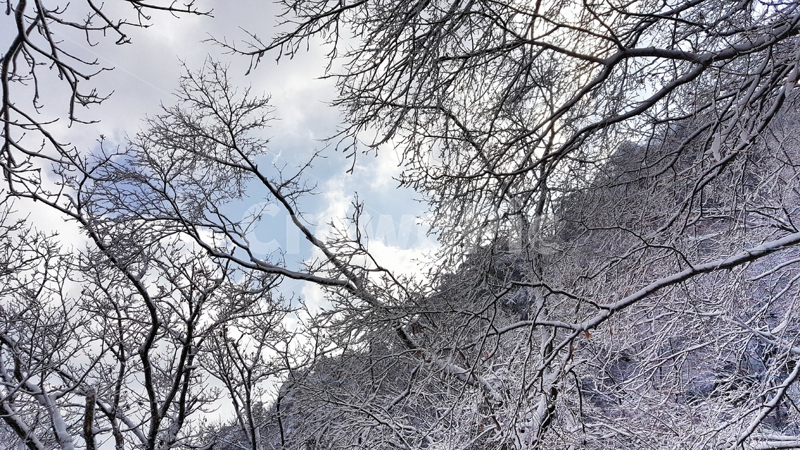 속리산,상고대,겨울,설산,겨울산행,눈꽃,나무,하늘,계절,자연,풍경,한국자연풍경,눈꽃풍경,눈풍경,산,winter,season,nature,landscape,trees,wood,koreannaturelandscape,구름,눈