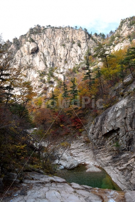 설악산,가을,단풍,풍경,백담사,구곡담계곡,수렴동계곡,계곡풍경,오색단풍,옥빛계곡,에매랄드계곡,가을색,자연,스포츠,등산,산행,nature,느낌,아름다운,다큐,필,계절,디자인,힐링,명산,국립공원,순백,트레킹,단풍잎,오색,칼라풀,뷰티플,단풍터널,단풍숲,산객,등산객,그림같은,감성,절경,자연,풍경,nature,landscape,가을,계절,fall,autumn,season,tree,나무,plant,식물,fir,전나무,conifer,구과 식물