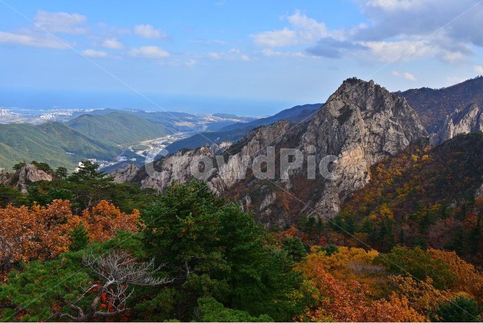 tree,나무,plant,식물,leaf,잎,nature,자연,outdoors,옥외,mountain,산,설악산,비선대,권금성,계곡,설악산가을,추색,만추,국립공원,가을,계절,fall,autumn,season,자연,풍경,nature,landscape