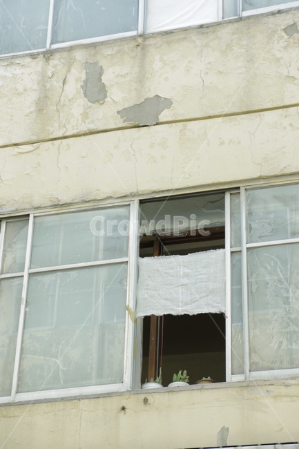 패턴,창문,homedecor,가정장식,감성사진,공허함,반전,오기,식물,폐허