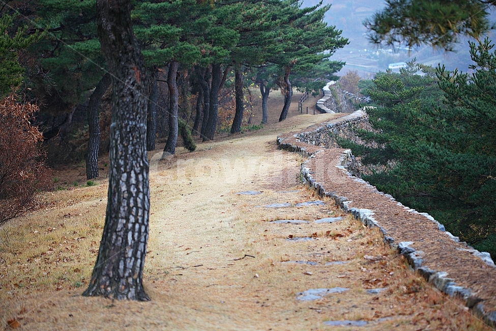 전등사,성,성곽,단풍,낙엽,산성,길,둘레길,숲,숲길,담,돌담,가을,자연,풍경,벽,방어벽,돌,나무,식물,가을,계절,fall,autumn,season,자연,풍경,nature,landscape