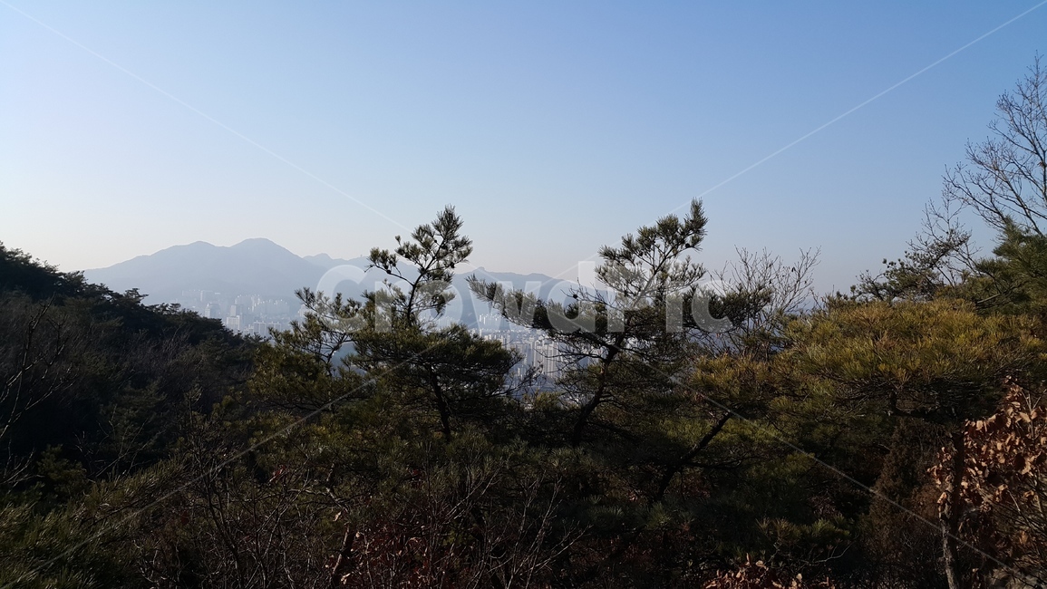 산,등산,산풍경,관악산,경치,자연,풍경,nature,landscape,한국자연풍경,한국자연경관,korea nature landscape,plant,식물,tree,나무,outdoors,옥외