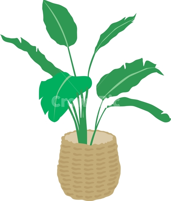 화분,감성,플랜테리어,plant,tree,planterior,식물인테리어,나무,그래픽,일러스트레이션,graphic,illustration