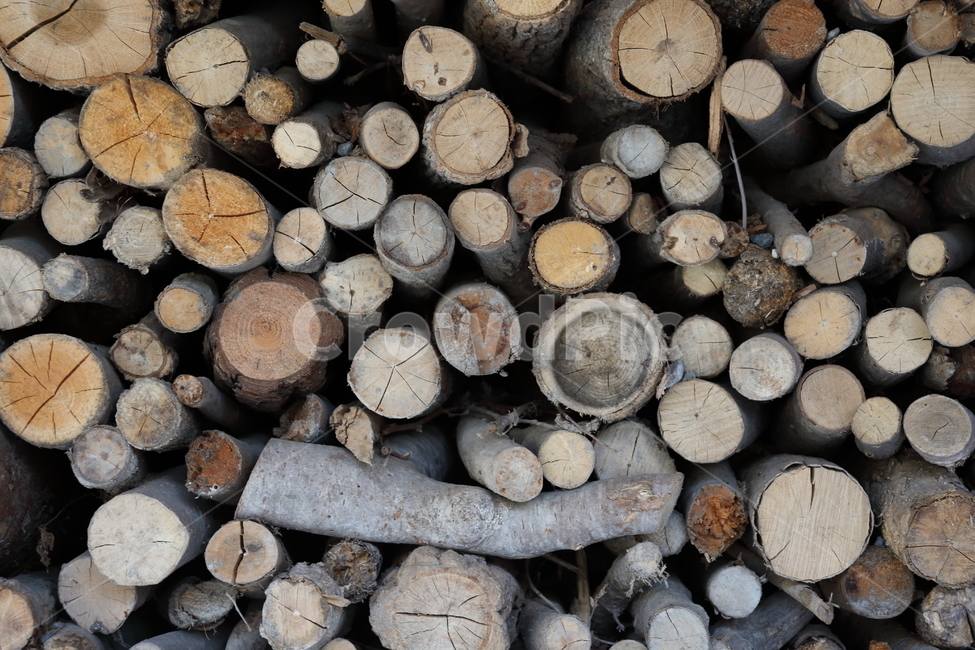 나무,장작,단면,wood,firewood