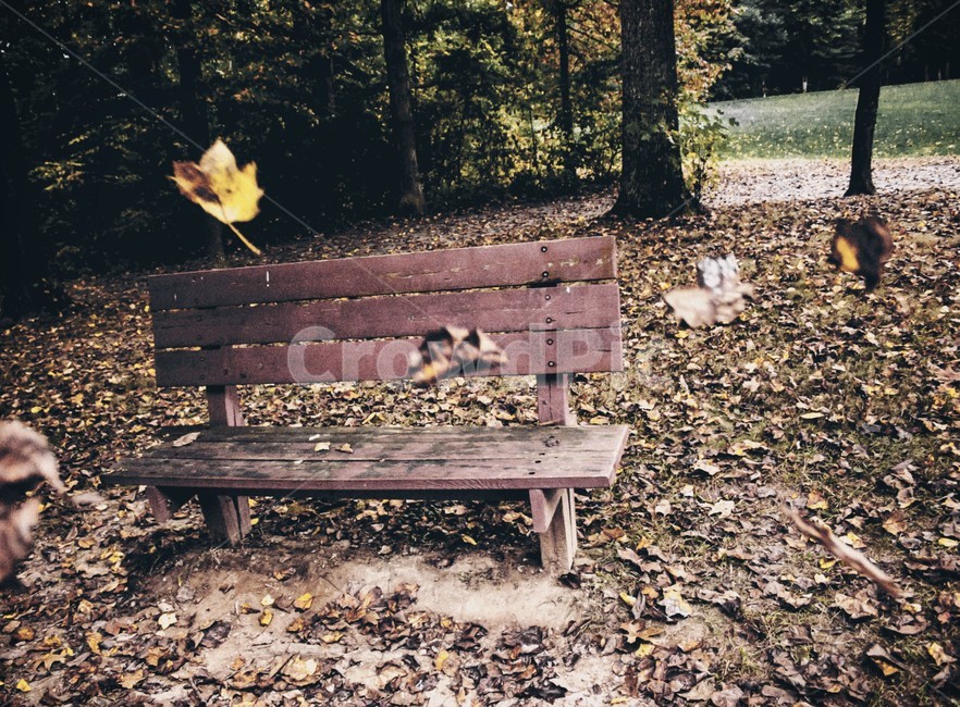 가을,낙엽,갈색,공원,벤치,쓸쓸함,고독함,fall,deadleaves,bench,park,헤어짐,죽음,떠남,외로움,녹슨,가을,계절,fall,autumn,season,자연,풍경,nature,landscape,furniture,가구