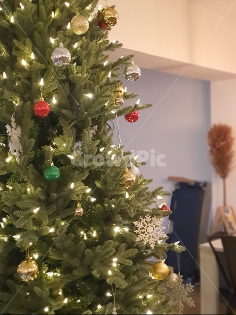 christmastree,크리스마스트리,tree,나무,plant,식물,ornament,장식