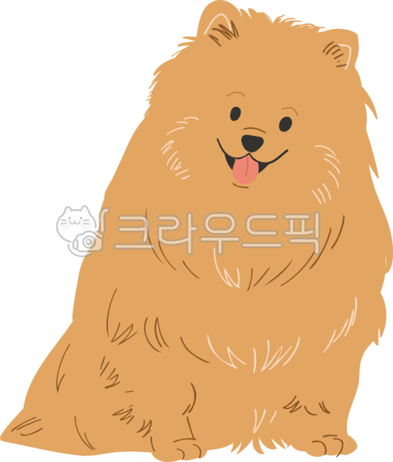 애완동물,강아지,애완견,반려동물,친구,가족,동물,개,펫,귀여운,캐릭터,일러스트,일러스트레이션,성견,dog,animal,pet,온순한,웃고있는,웃음,puppy,소형견,포메라니안,goldenretriever