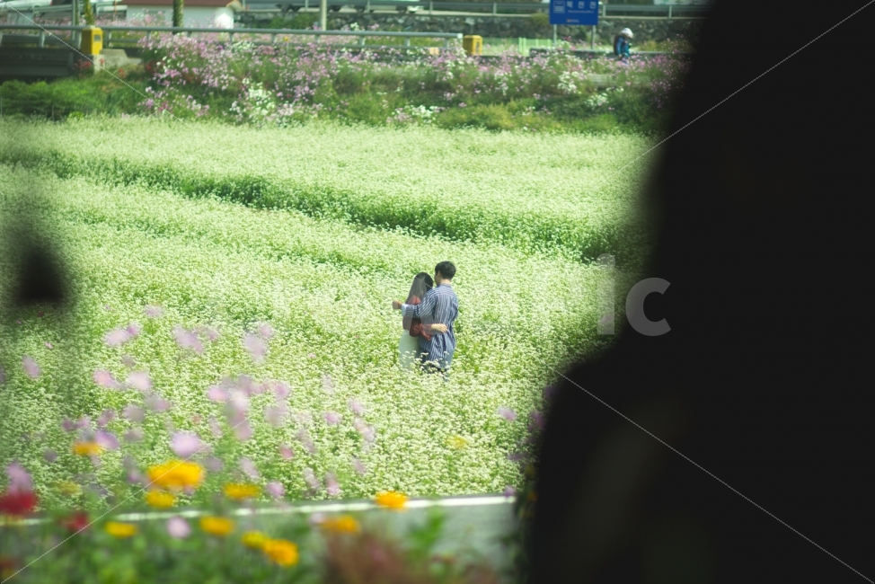 연인,커플,사랑,스냅,분위기,사람,인물,인간,human,person,연인,커플,사랑,lover,couple