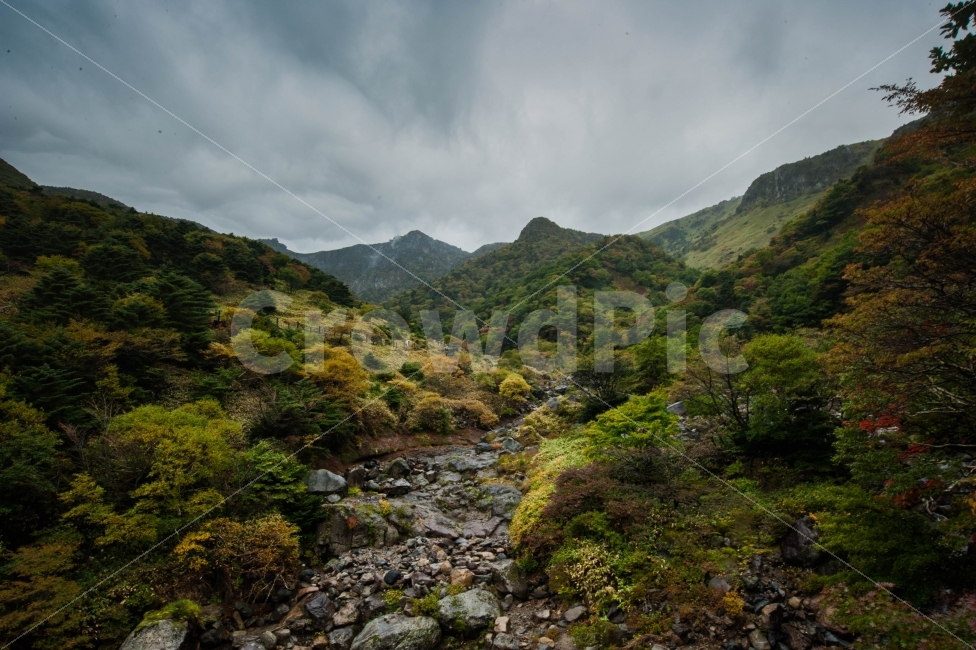 산,백록담,자연,한라산,등산,여정,고생,비,흐림,흐린날씨,푸른산,자연,풍경,nature,landscape,한국자연풍경,한국자연경관,korea nature landscape,outdoors,옥외