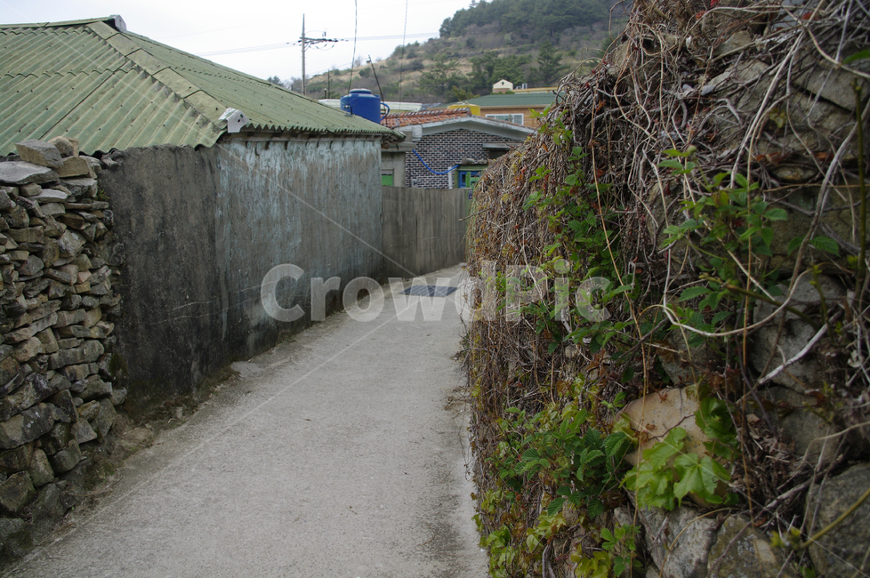골목길,돌담길,돌담,집,시골,길,지붕,시골,마을,풍경,landscape,country,rural,town,골목길,alley,outdoors,옥외,nature,자연,building,건물