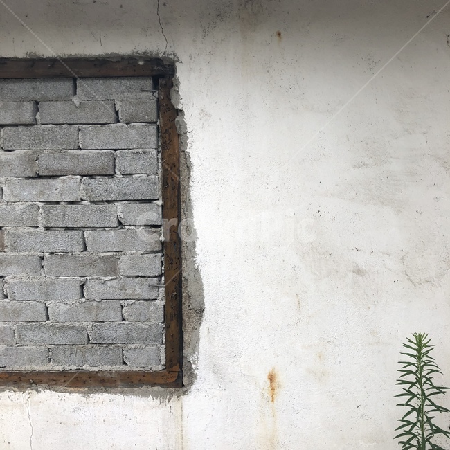 인테리어,건축,건물,cafe,interior,design,자연,벽돌,brick,보도,벽,식물,나뭇잎,plant,창문,window,색감