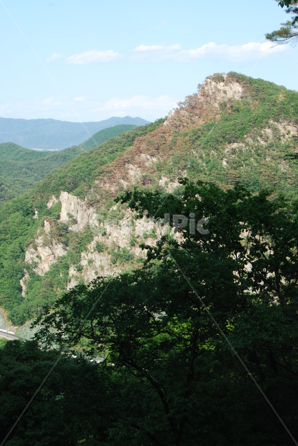 sky,구름,trail,tree,nature,자연,풍경,nature,landscape,outdoors,옥외,hill,언덕
