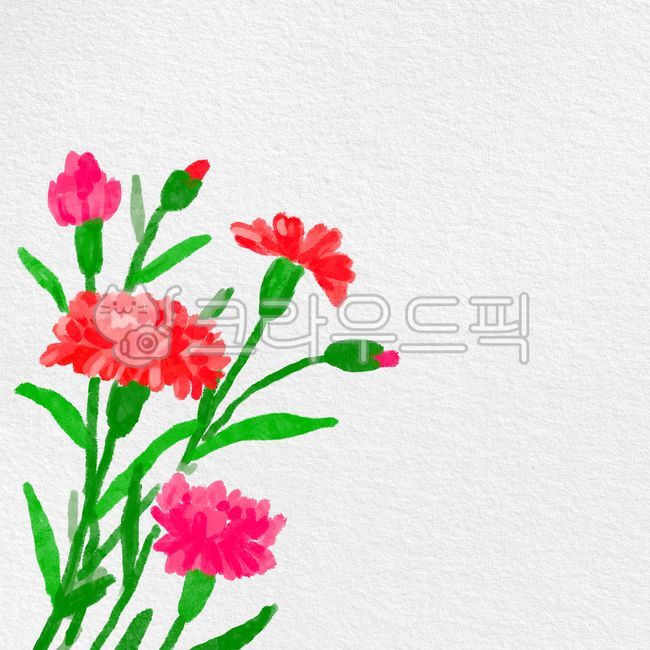 Carnation,Parents' Day,Teachers' Day,Template,Family Month,Flower,Gratitude,Thanks,Thank You,Frame,Carnation,Thankyou,Thanks,Thankscard,Parents' Day Carnation,Teachers' Day Carnation,Illustration,Hand Drawing,Illustration