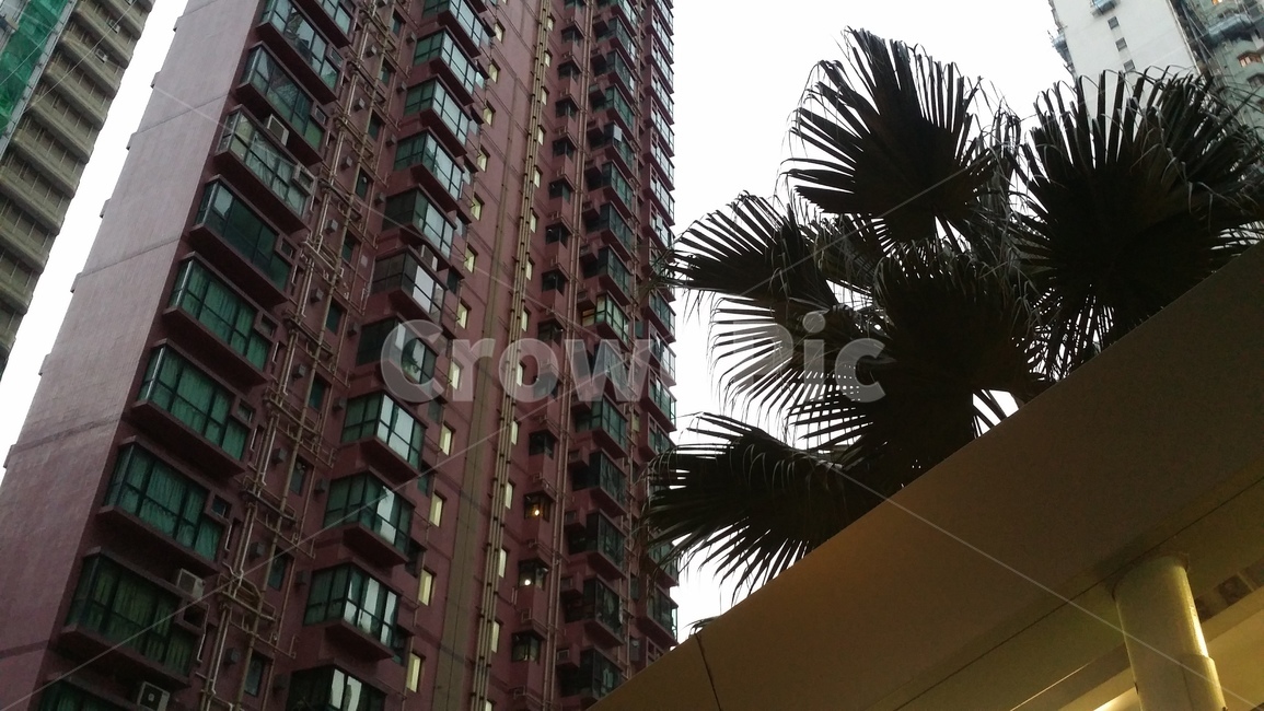빌딩,도심,건물,홍콩,hongkong,building,city