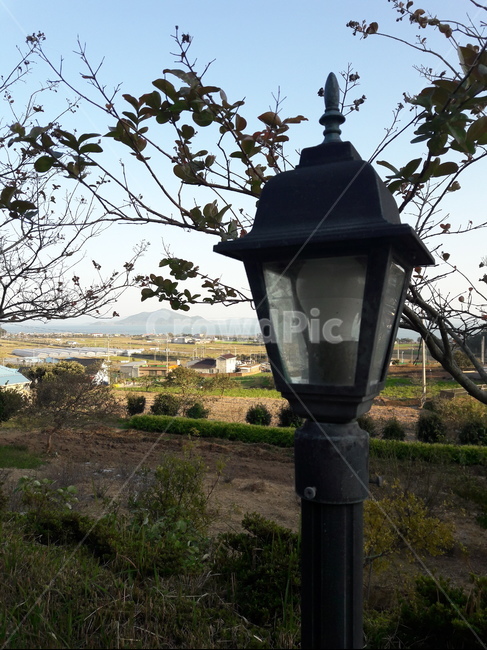 조명등,lamppost,가로등,streetlight,빛,light,사물,물건,오브젝트,thing,object,matter