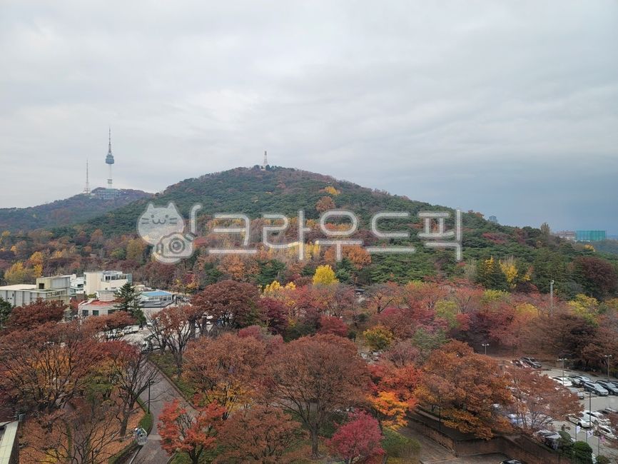 언덕, outdoors, 옥외, nature, 경사, 사진,이미지,일러스트,캘리그라피 - 놀고먹고작가