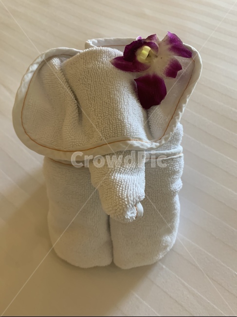 코끼리,태국,호텔,수건코끼리,elephant,hotel,resort,bangkok,방콕