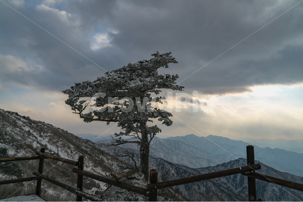 덕유산,나무,설경,눈산,풍경,mountain,landscape,snow,구름,겨울,계절,winter,season,자연,풍경,nature,landscape,한국자연풍경,한국자연경관,korea nature landscape,식물,plants,나무,trees,wood,outdoors,옥외,tree,plant