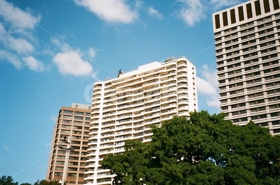 건축,나무,하늘,파랑,초록,하얀,아파트,건물,필름사진,필름,architecture,filmphotography,tree,apartment,도시,풍경,city,landscape,high rise,고층 건물,urban,어반,town,시티,building,apartment building,housing,주택,condo,콘도