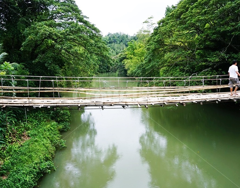 필리핀,자연,여행,보홀,세부,자유로움,힐링