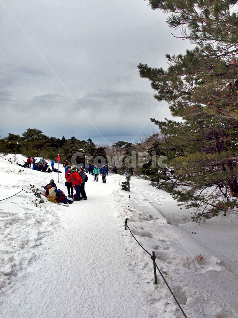 어리목,제주도,한라산,설경,겨울산,눈,등산,설화,탐방로,등산로,등산객,겨울,계절,winter,season,사람들,대중,군중,other people,crowd