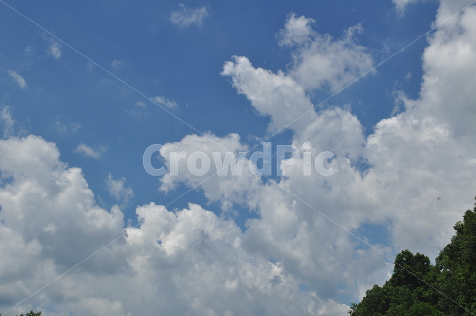 바람,fall,bluesky,하늘,가을