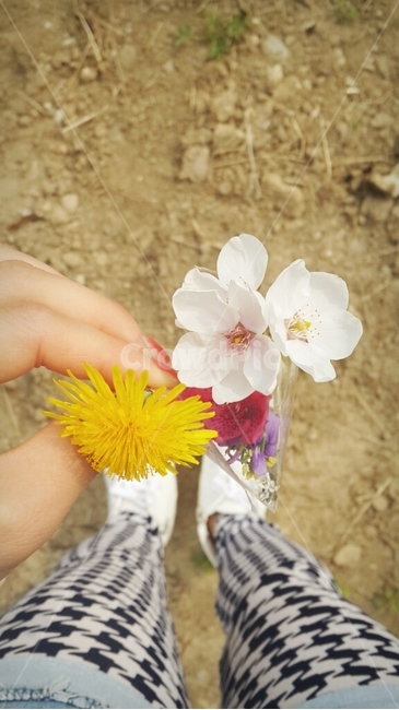꽃,식물,자연,꽃줍기,산책중,흙,땅