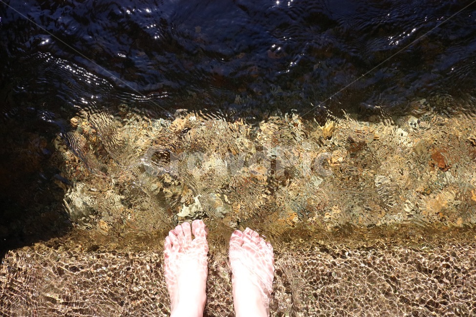 여름,계곡,물,일렁임,감성,돌,햇빛,summer,natsu,valley,keikoku,water,mizu,stone,ishi,sunlight,hizashi,자연,nature,발,foot,ashi,여름,계절,summer,season,사람,인물,인간,human,person,신체일부,몸,body,여행,휴가,traveling,vacation,trip,휴식,힐링,rest,relaxation,healing
