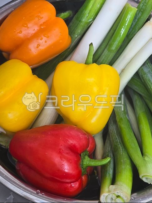 야채, 씻은야채, 피망, 파프리카, 대파, 사진,이미지,일러스트,캘리그라피 - 바이홍작가