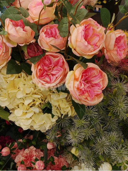 꽃,꽃다발,디스플레이,플라워,축하,꽃잎,배경,바탕,장식,데코레이션,flowers,칼라,color,식물,조화,배경화면,수국