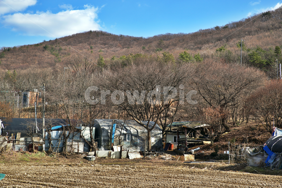 백운호수,의왕시,자연,구름,전원,논