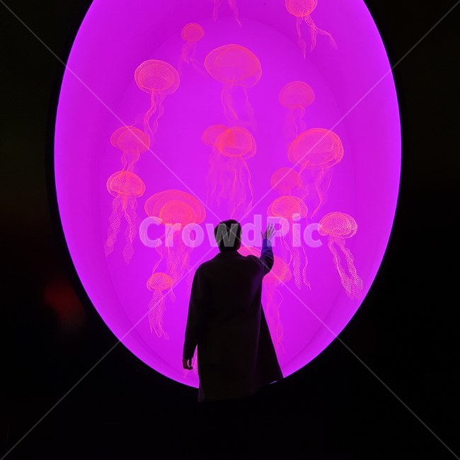 human,인간,person,사람,뒷모습