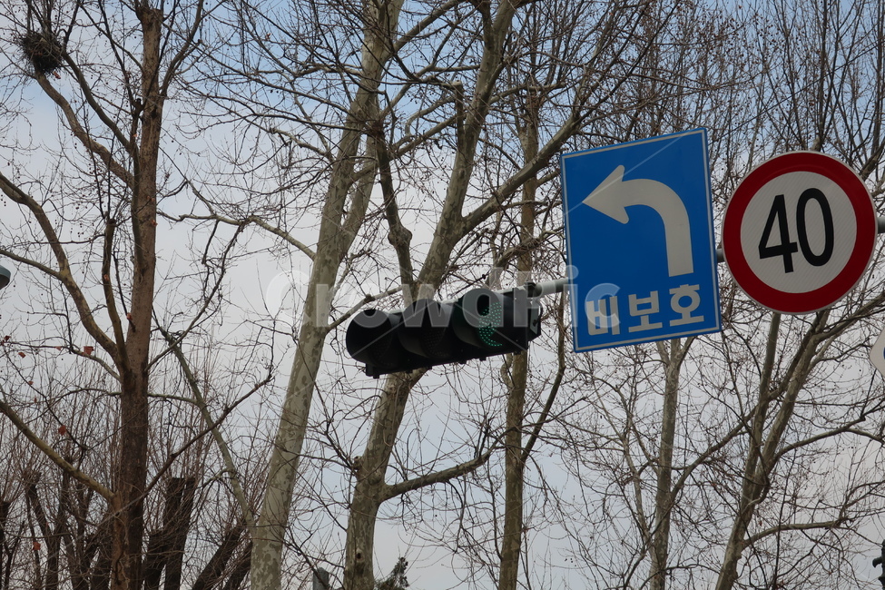 교통,신호기,신호등,비보호,좌회전표지,표지판,속도,제한,신호,교통,교통수단,traffic,transportation