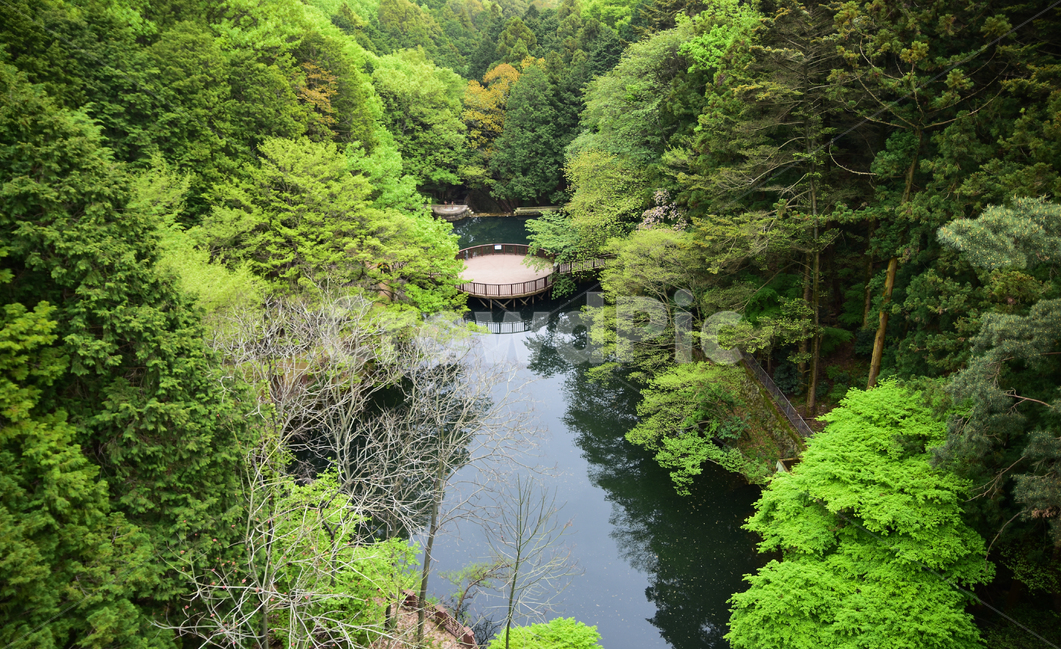 자연,나무,연못,숲,풍경,경치,자연,풍경,nature,landscape,water,물,outdoors,옥외,plant,식물,tree,land,땅