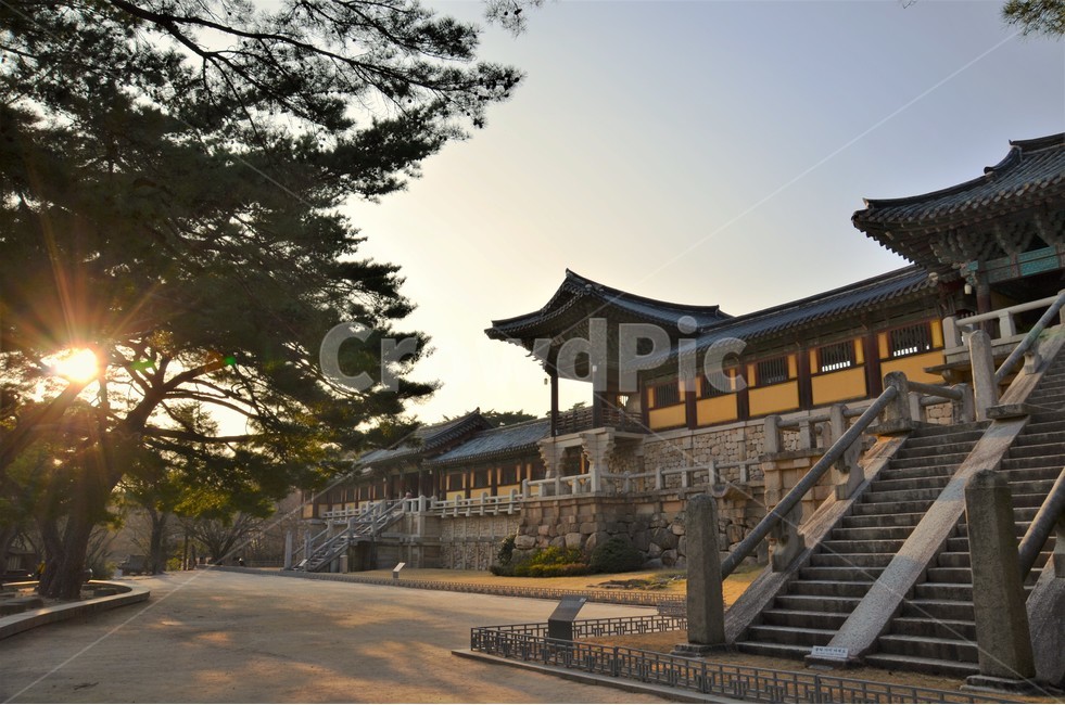 경주,불국사,노을,봄,감성,한국전통,한국문화,korean traditional,korean culture,랜드마크,landmark,tourist attraction,한국랜드마크,한국관광지,한국명소,korea landmark,korea tourist attraction,종교,신앙,religion,belief,faith