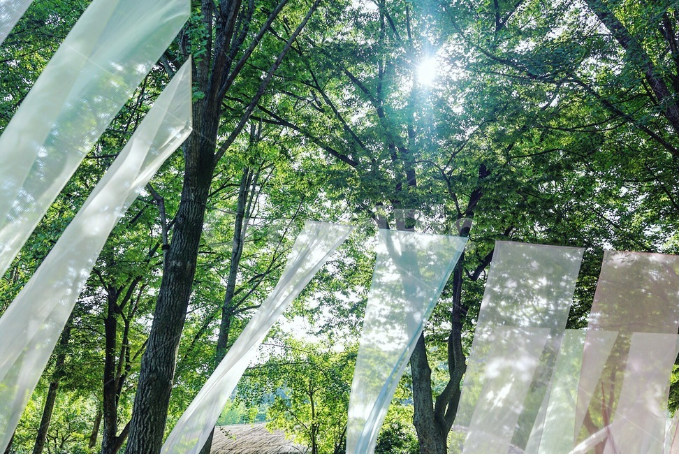 한인민속촌,민속촌,천,숲,나무,햇빛,휴식,힐링,rest,relaxation,healing,vegetation,초목,plant,식물,flare,플레어,light,빛,tree,nature,자연,land,땅,outdoors,옥외,forest,woodland,삼림지,sunlight