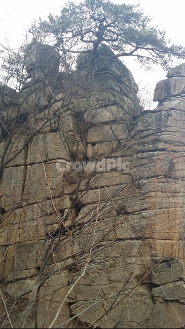 절벽,절벽산,절벽위산,돌산,절벽위,꼭대기,절벽나무,자연,풍경,nature,landscape,cliff,낭떠러지,outdoors,옥외