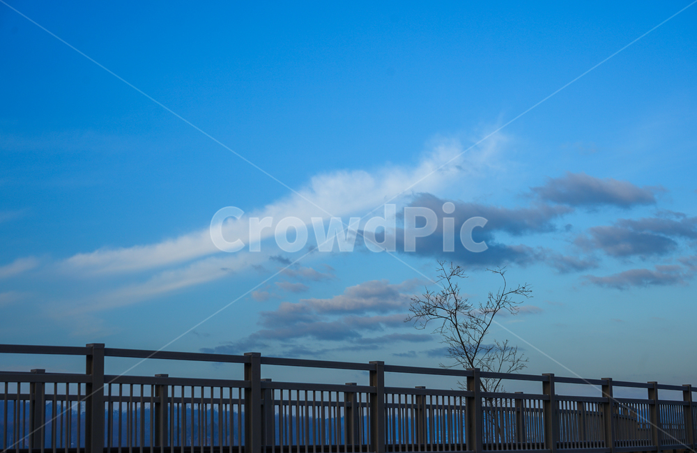 나무,다리,하늘,구름,풍경,자연,감성,railing,난간,handrail,banister