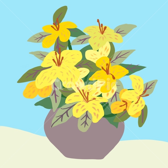 art,미술,graphics,plant,꽃,화분,그래픽,일러스트레이션,graphic,illustration