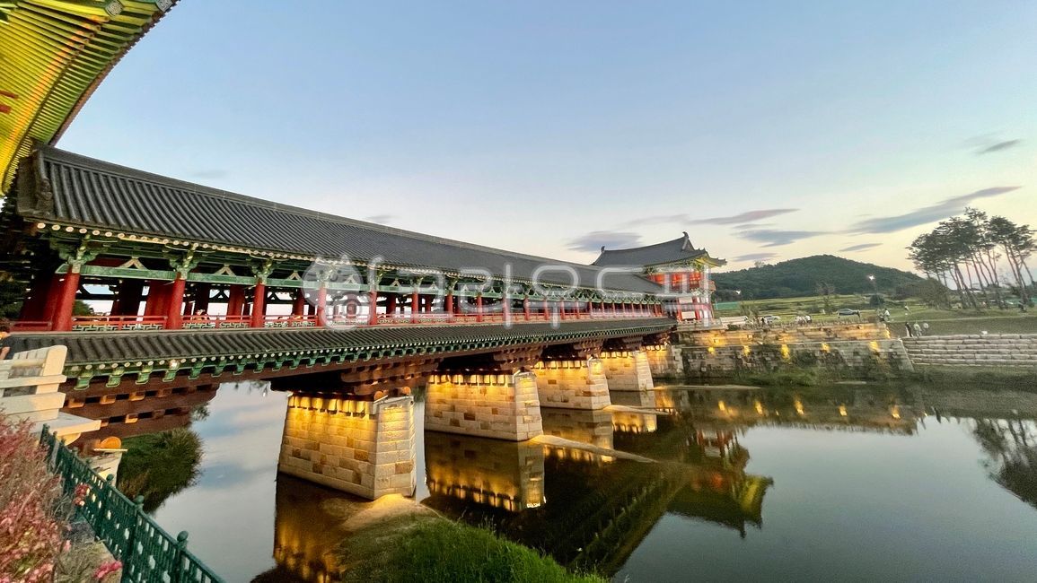 Woljeong Bridge,night,Bridge,Gyeongju,building,architecture