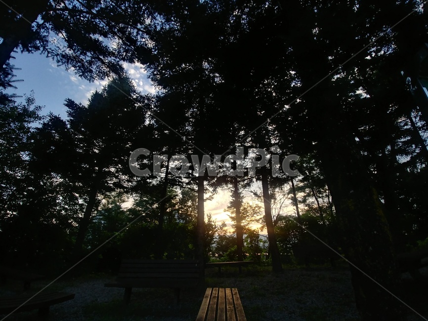 bench,벤치,빛,나무,tree,햇빛,노을,오후,하늘,나뭇잎,sunset,sun,sunlight,sunshine,sunbeam,shine,light,자연,풍경,nature,landscape,flare,플레어