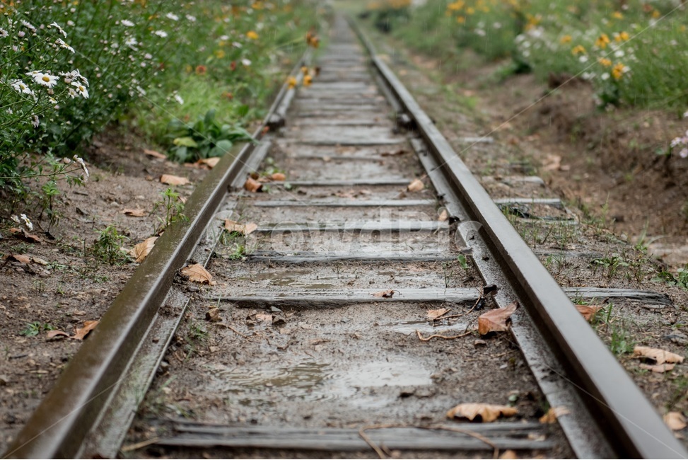 기찻길,기차역,지하철역,역,감성,감성사진,감성,sensible,feeling,교통,교통수단,traffic,transportation,train track,rail,레일,railway,철도