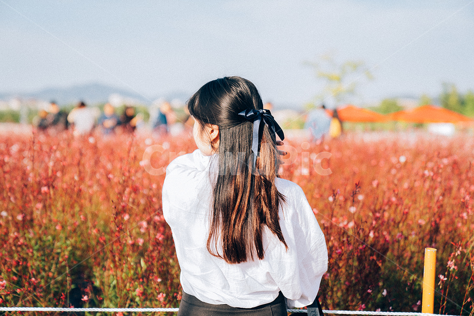양주,나리공원,핑크뮬리,꽃,portrait,가을,계절,fall,autumn,season,사람,인물,인간,human,person,여성,여자,woman,female,lady,감성,sensible,feeling