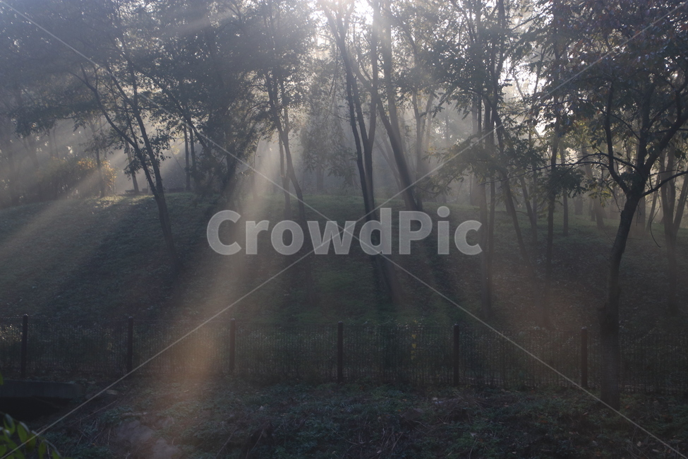 햇빛,플레어,sunlight,빛내림,light,날씨,nature,빛,weather,자연,자연,풍경,nature,landscape